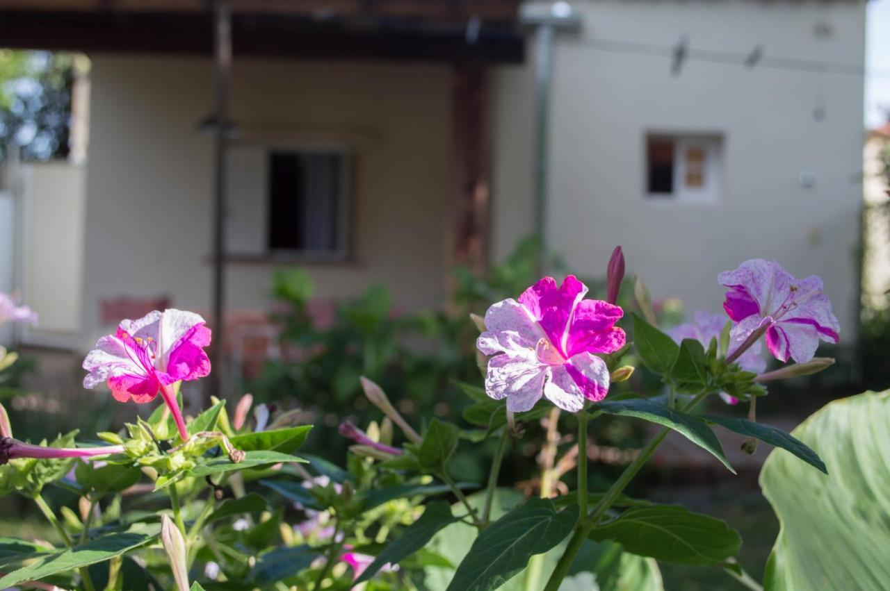 La Casa De Almirall Santa Rosa de Calamuchita Ngoại thất bức ảnh